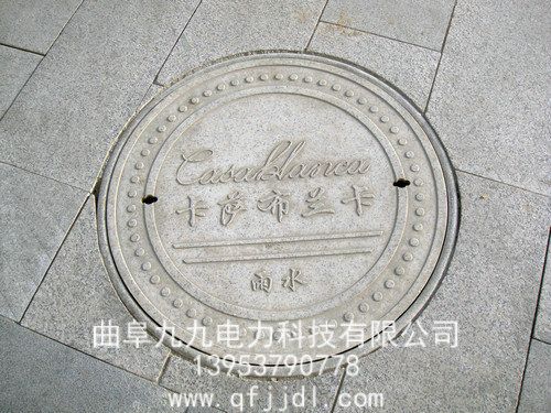 井蓋案例