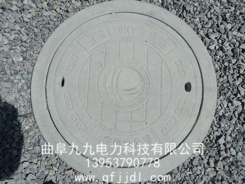 井蓋案例