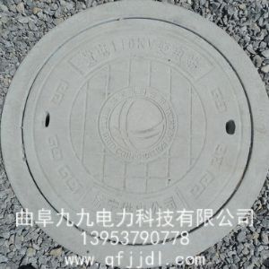 井蓋案例