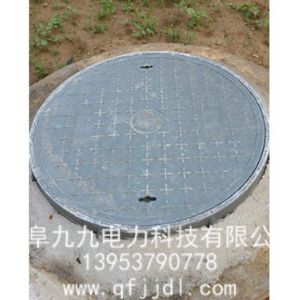 井蓋案例