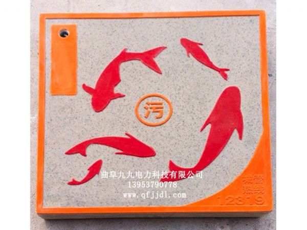 藝術(shù)井蓋